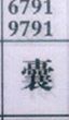 囊