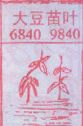 大豆苗叶