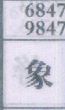 象